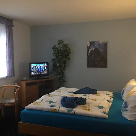 Richter Guest house